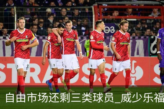 自由市场还剩三类球员 威少乐福领衔失业大军？