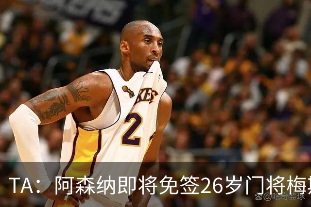 TA：阿森纳即将免签26岁门将梅斯利耶，曾效力利兹联7个赛季